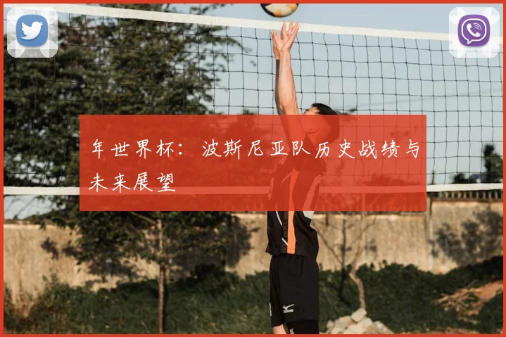 年世界杯:波斯尼亚队历史战绩与未来展望
