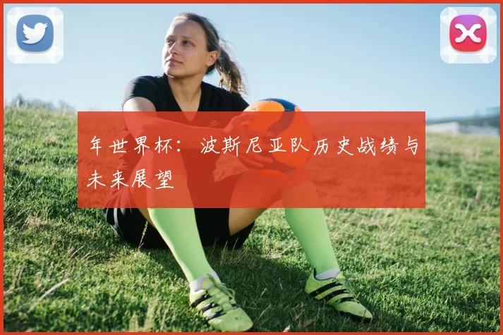 年世界杯:波斯尼亚队历史战绩与未来展望